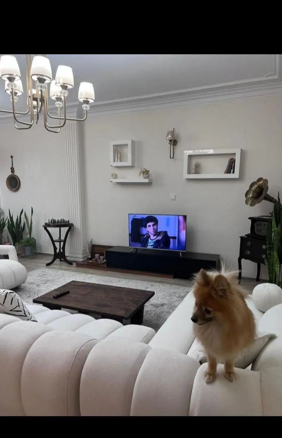 اجاره پاره وقت اپارتمان ماهانه روزانه شبانه