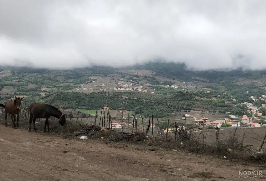 ۱۵۰ متر زمین در روستای خوش آب و هوا و توریستی لنگر