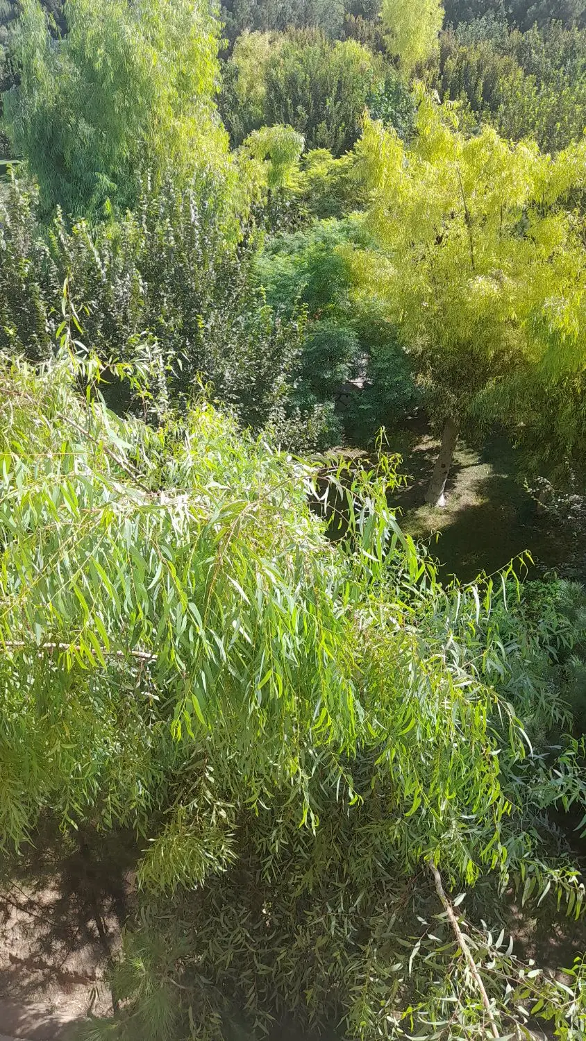 زمین ویلایی ومسکونی