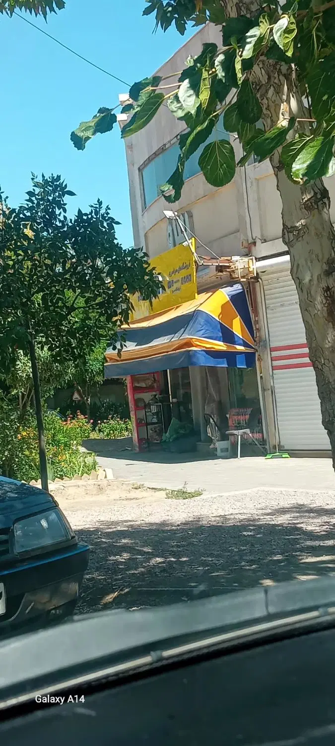 مغازه تجاری عدالت 48 بازار سرو سند تک برگ