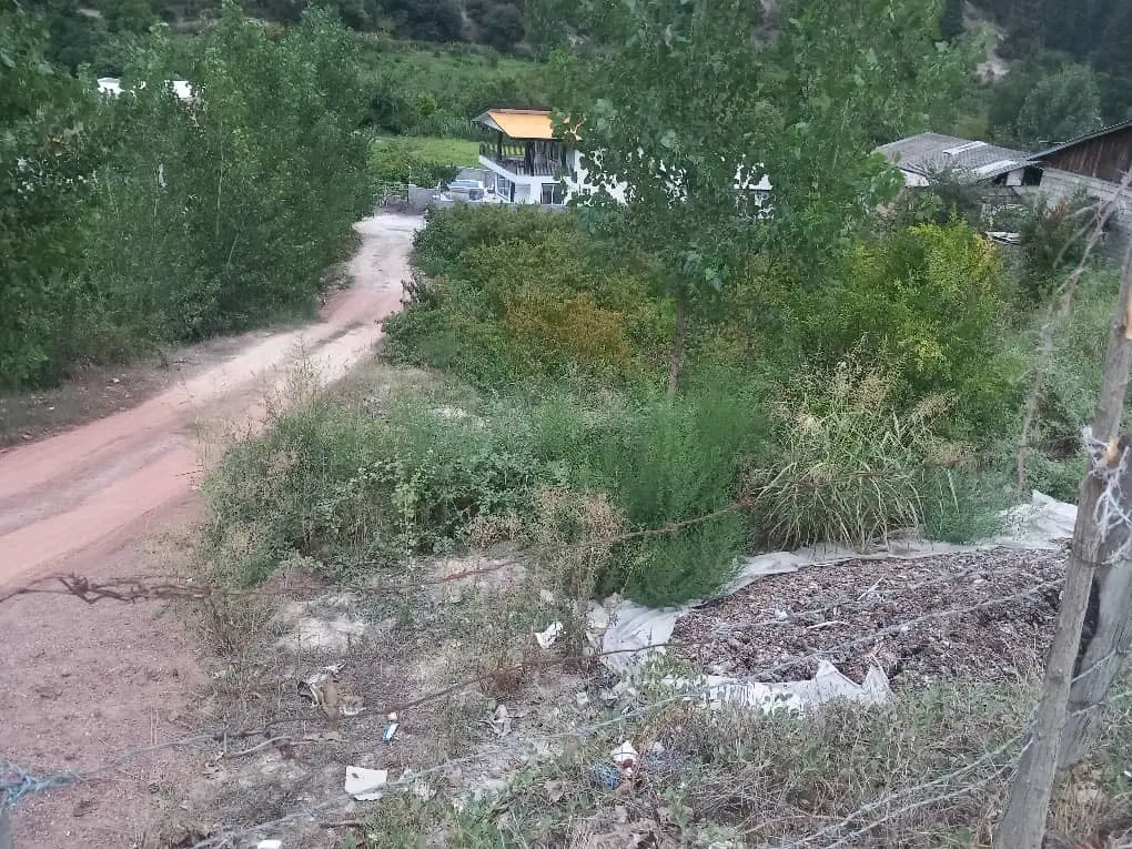 زمین