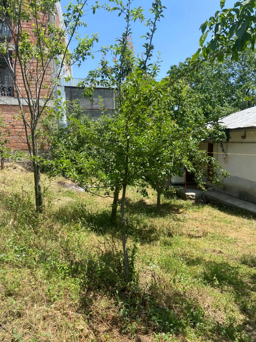 خانه ویلایی در بهشت ایران