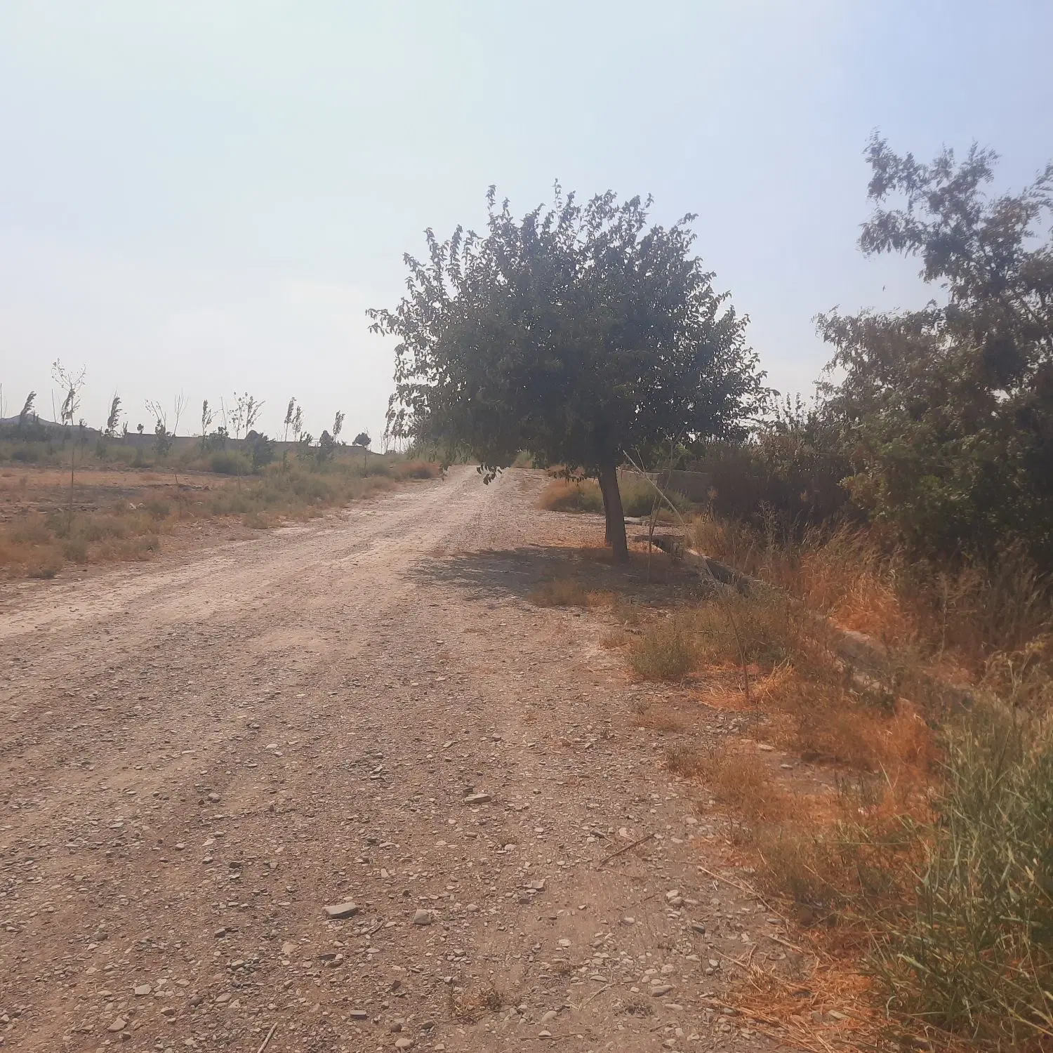 فروش زمین