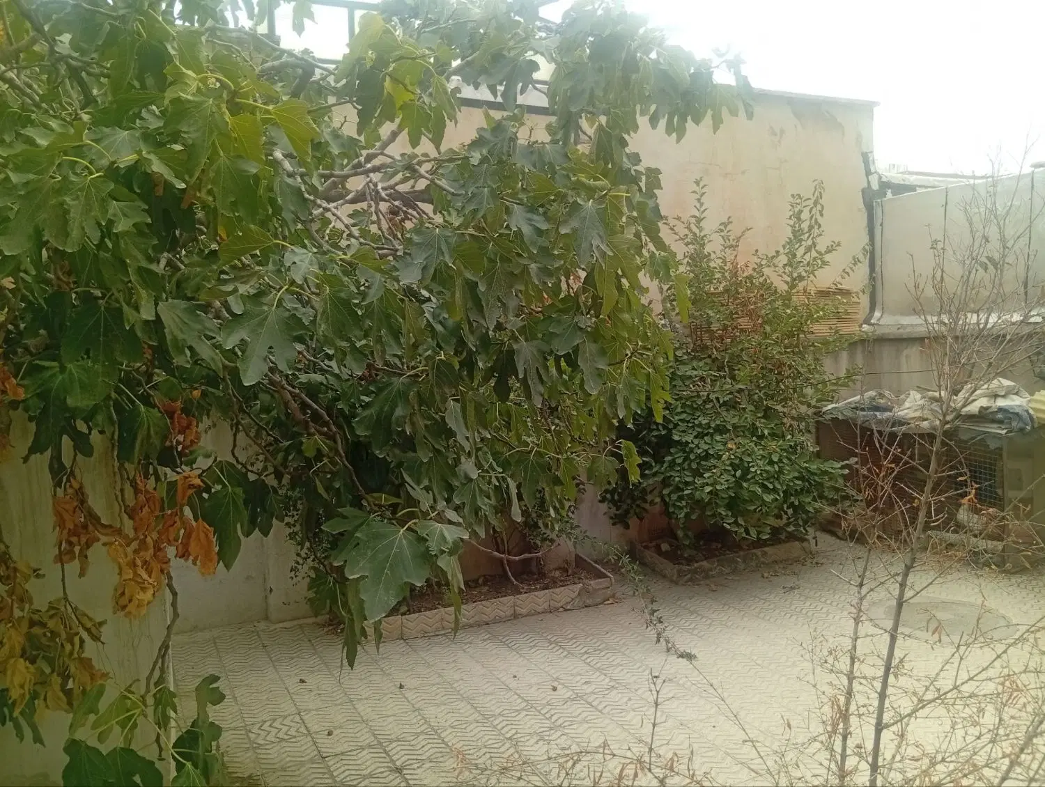 ویلایی تعاون ۱
