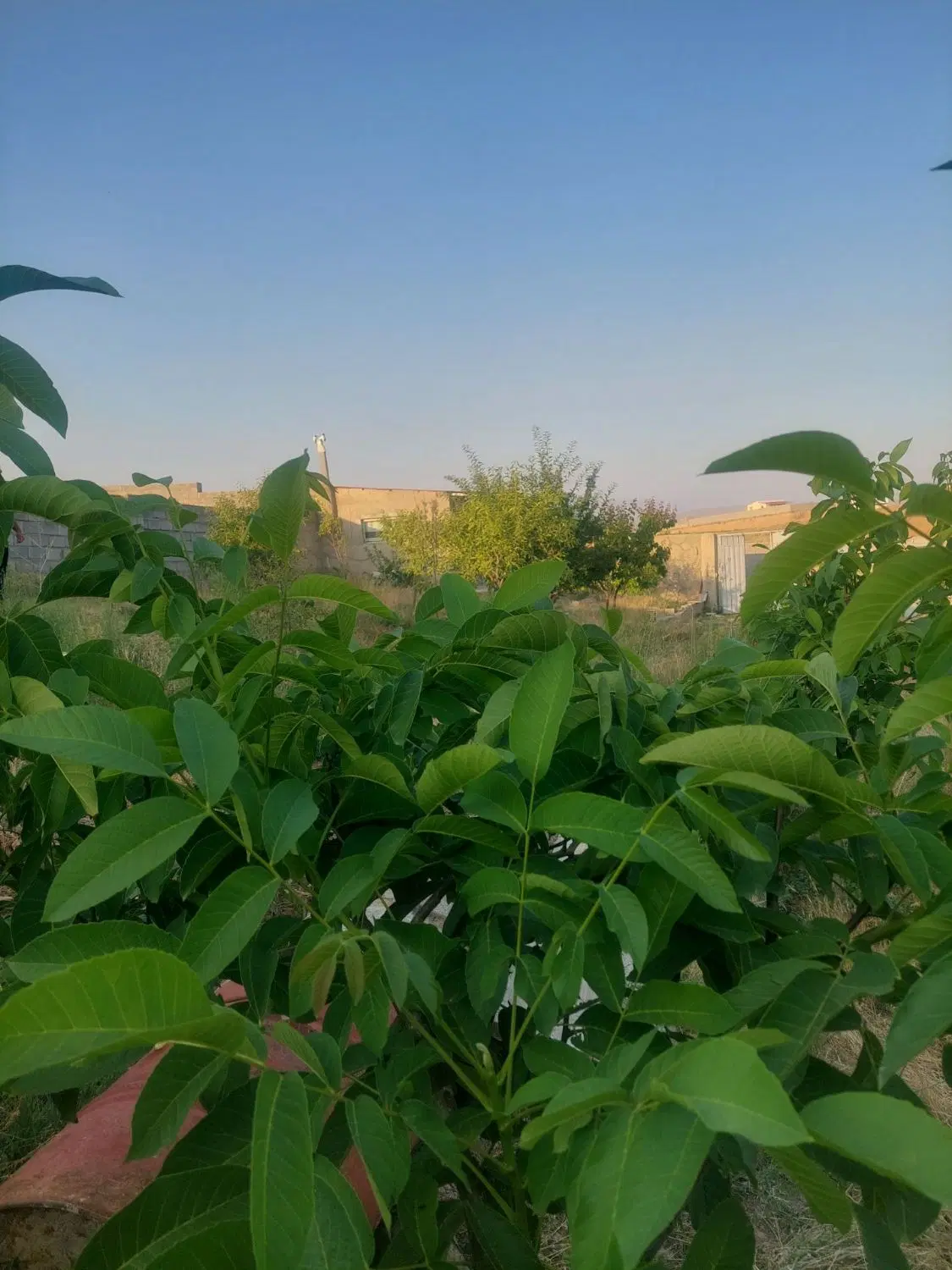 خانه باغ در جاده زین اباد