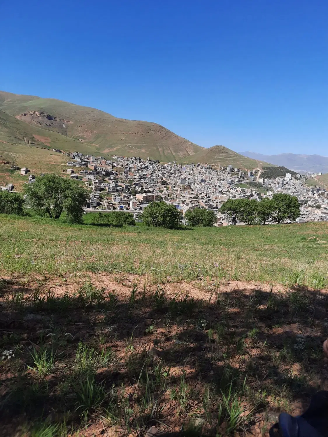 زمین کشاورزی