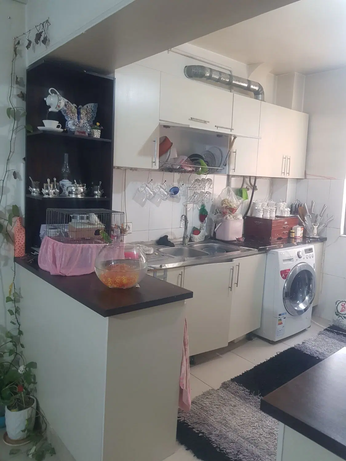 ۹۰مترآپارتمان تخلیه۲نبش بهرخیابان گلستان۳ شهرک ارم