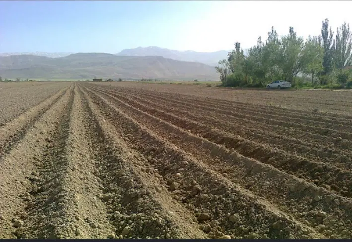 اجاره زمین کشاورزی