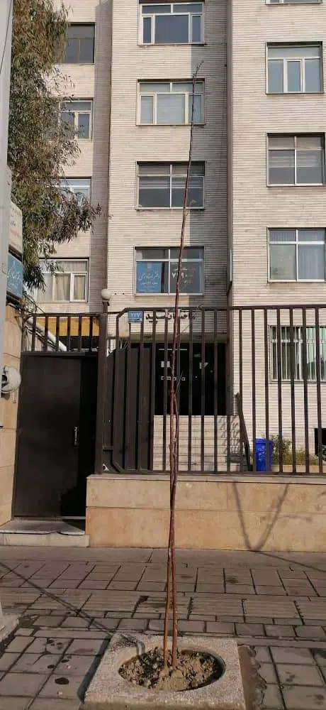 اجاره دفتر بر خیابان آزادی روبروی دانشگاه سوره