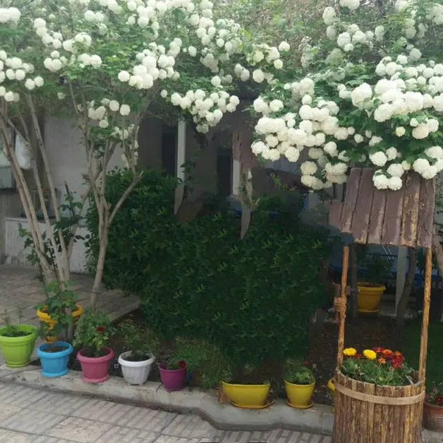 فروش خانه ویلایی بهترین نقطه مطهری شمالی 308متر