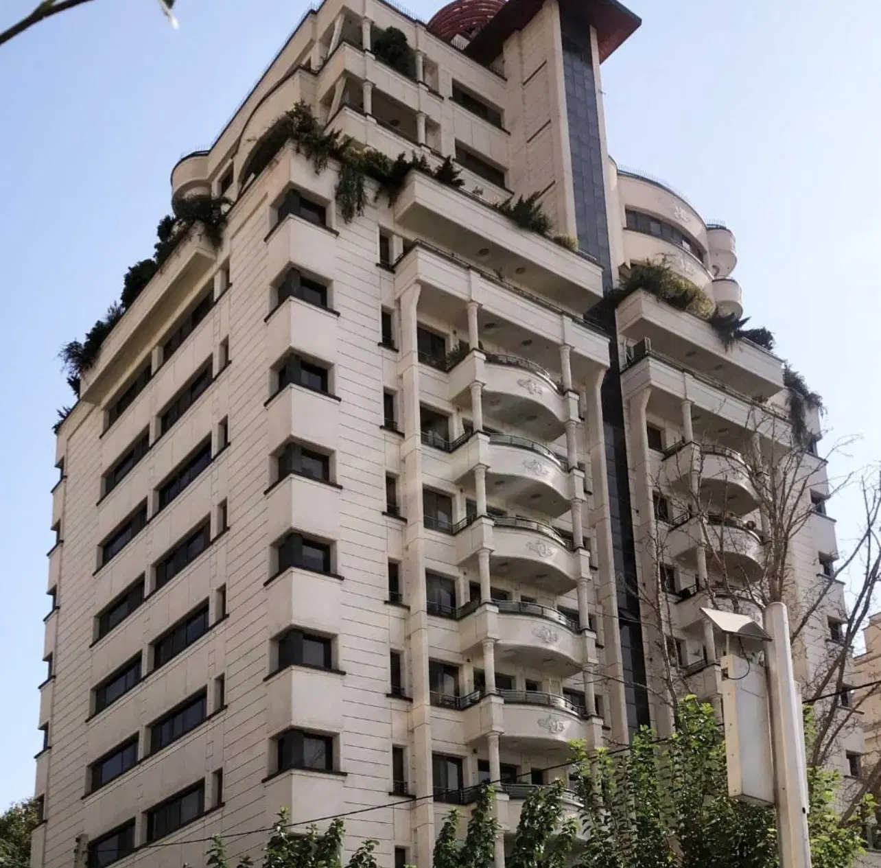 کافه کلینیک دامپزشکی