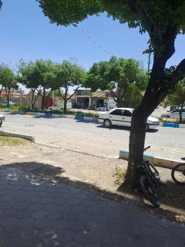 زمین تجاری