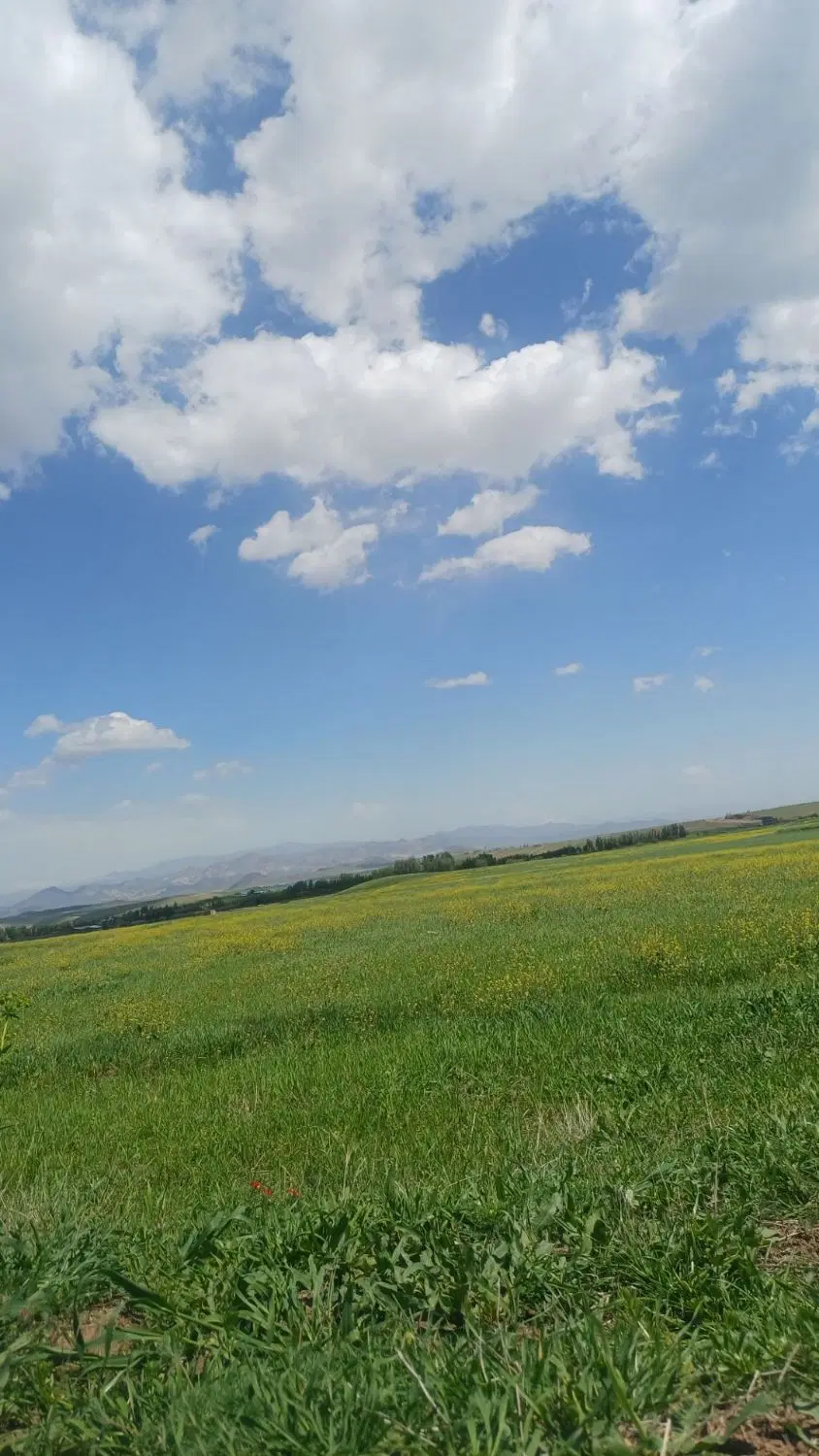 فروش زمین زراعی