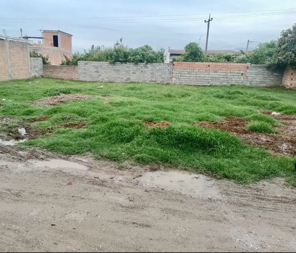 زمین مسکونی