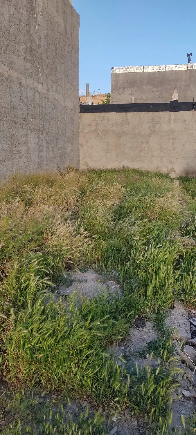فروش زمین ۷۵ متری