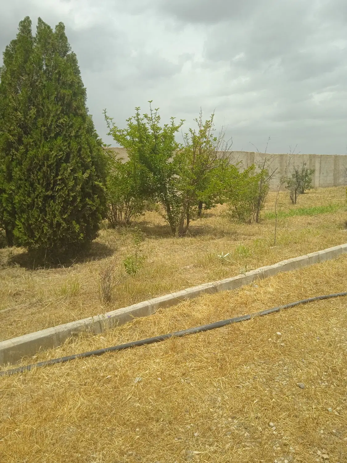 باغ 2500 متری آبیک