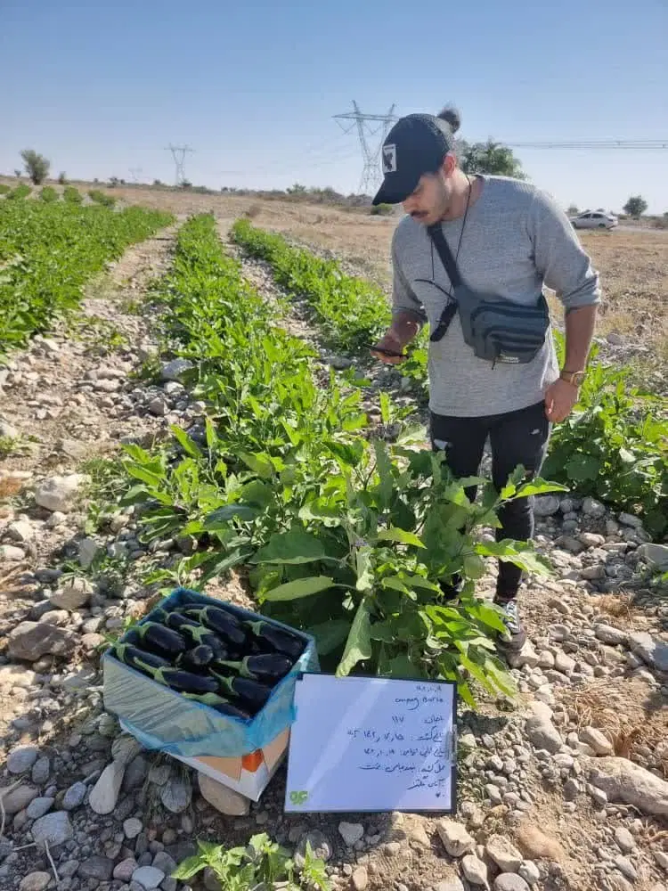 فروش زمین باغی