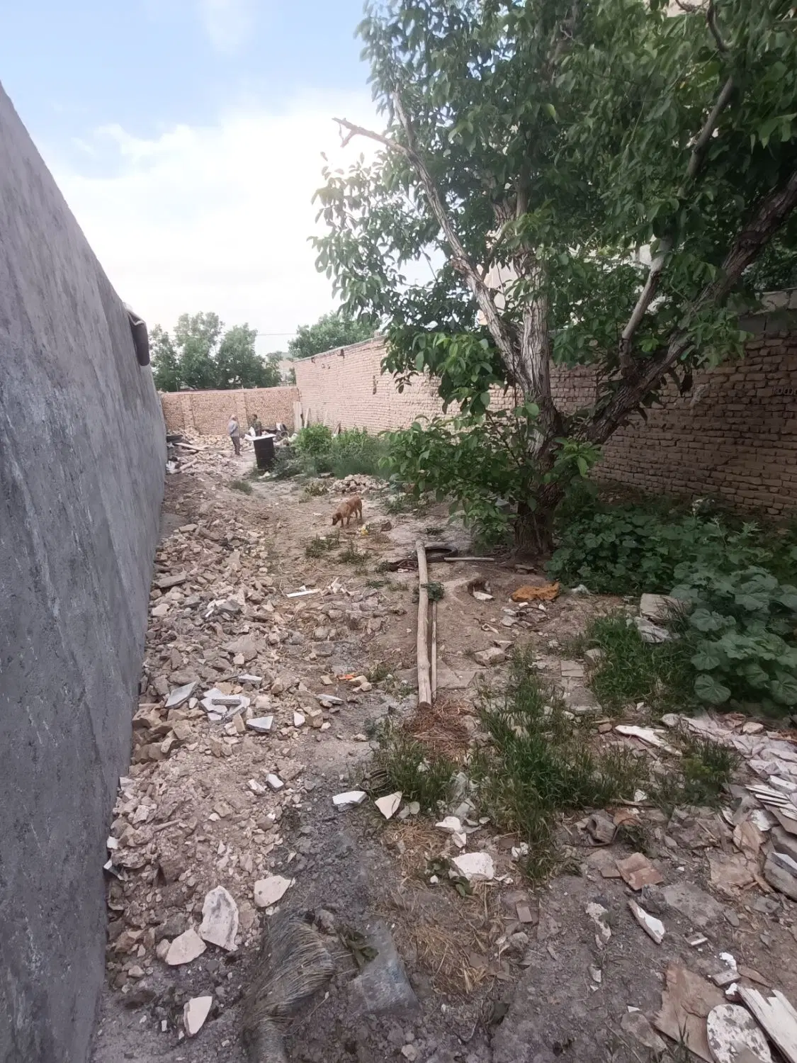 زمین 210 شاهنامه54