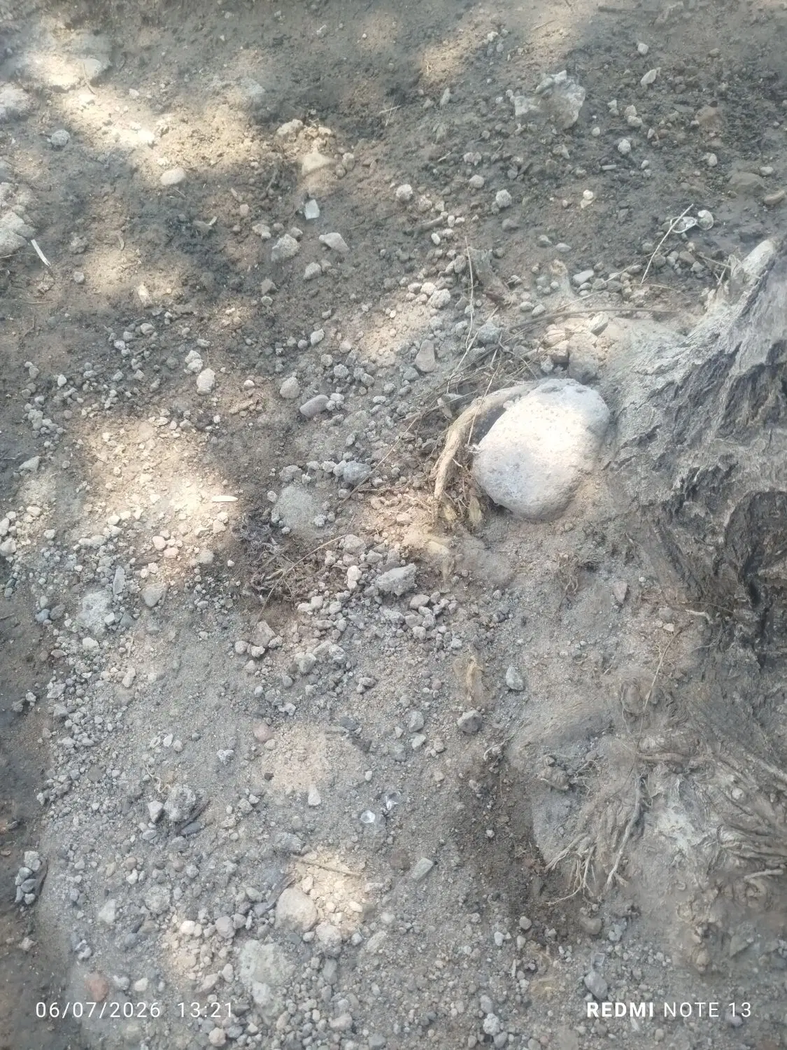 زمین مسکونی