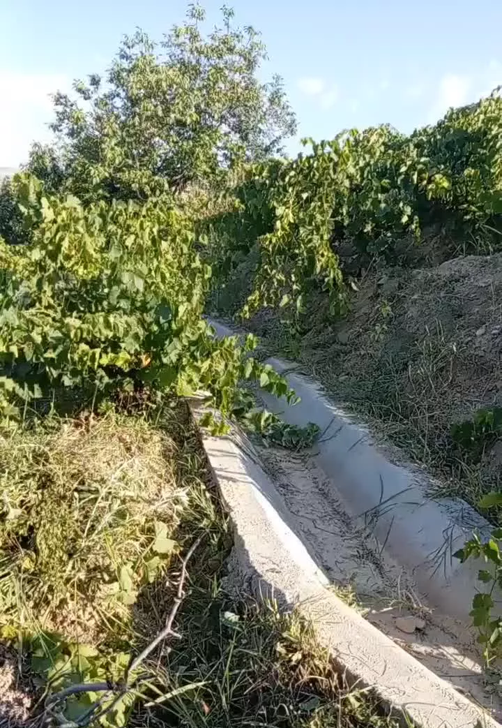 1500 متر باغ آبی
