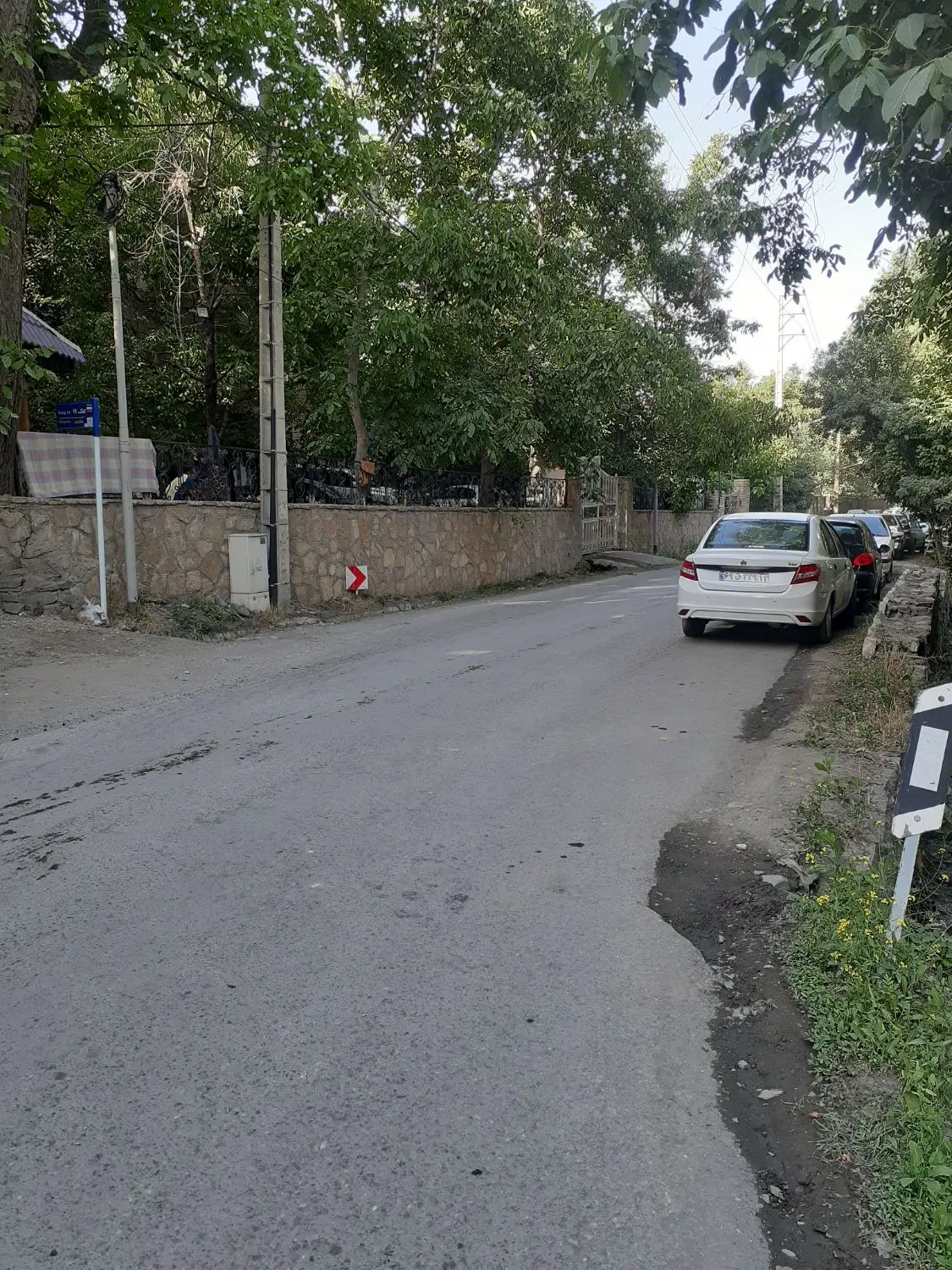 زمین ، باغ