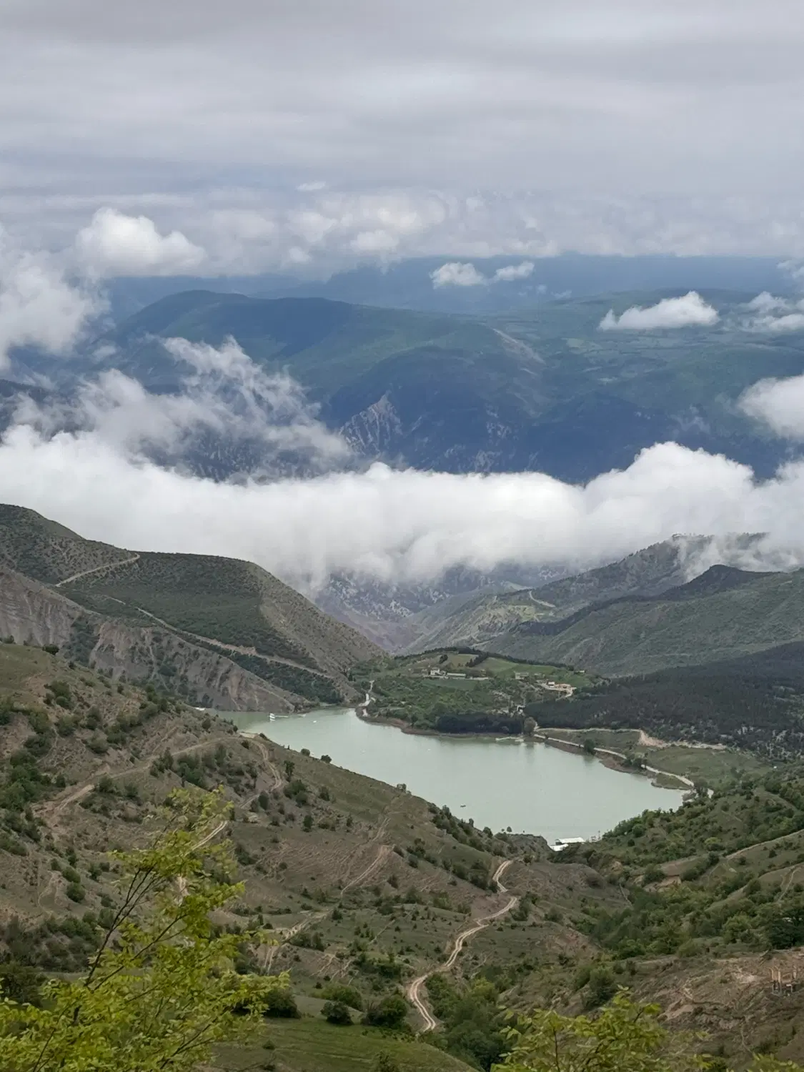 زمین