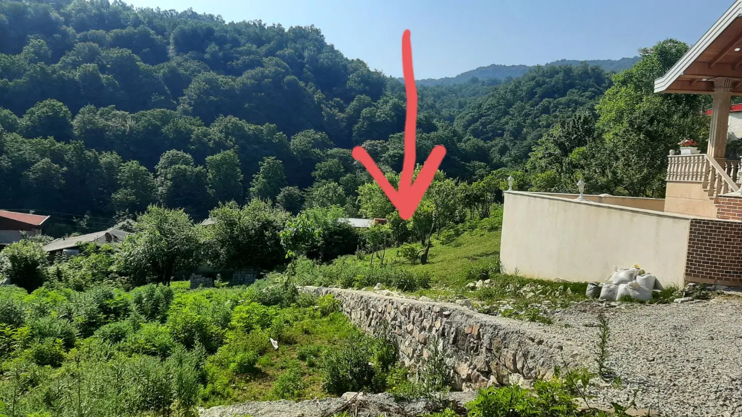 زمین با ویو ابدی