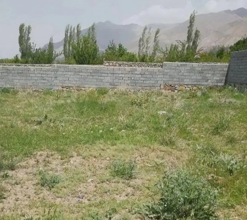 زمین