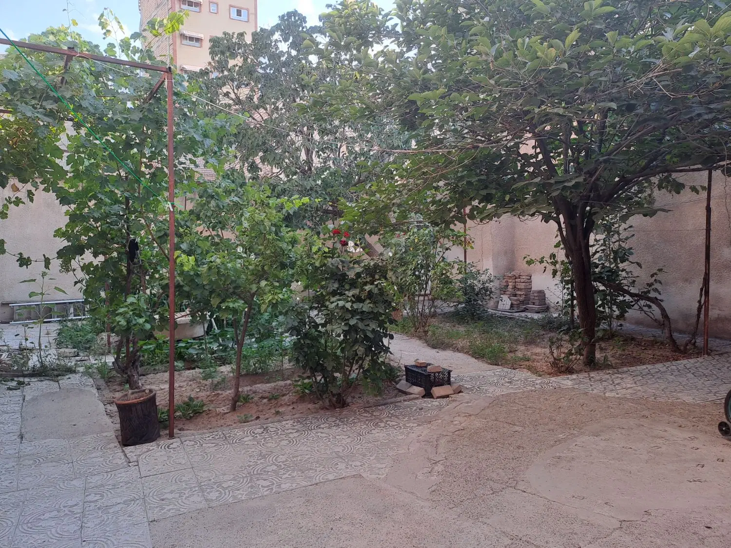 ۲۶۰مترویلایی