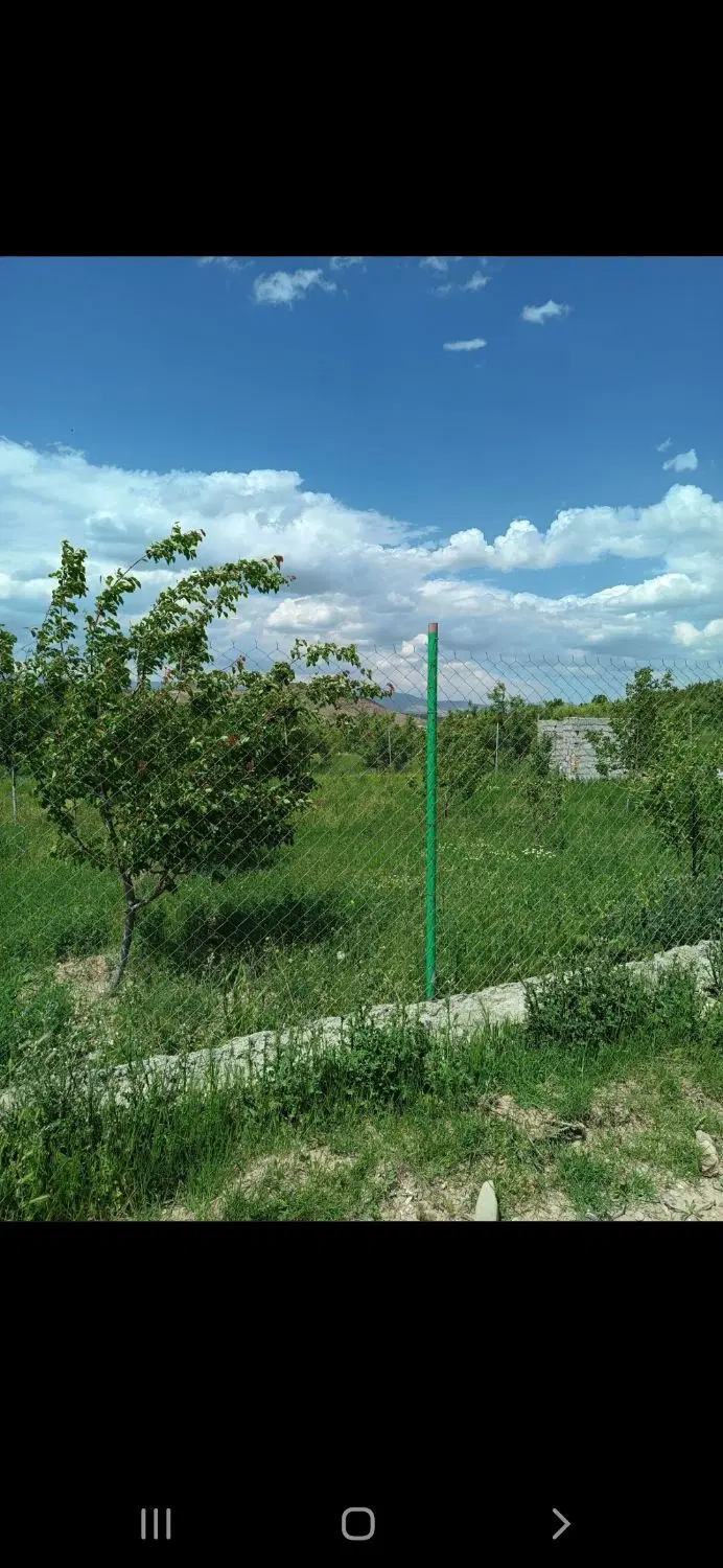 باغ سرسبز