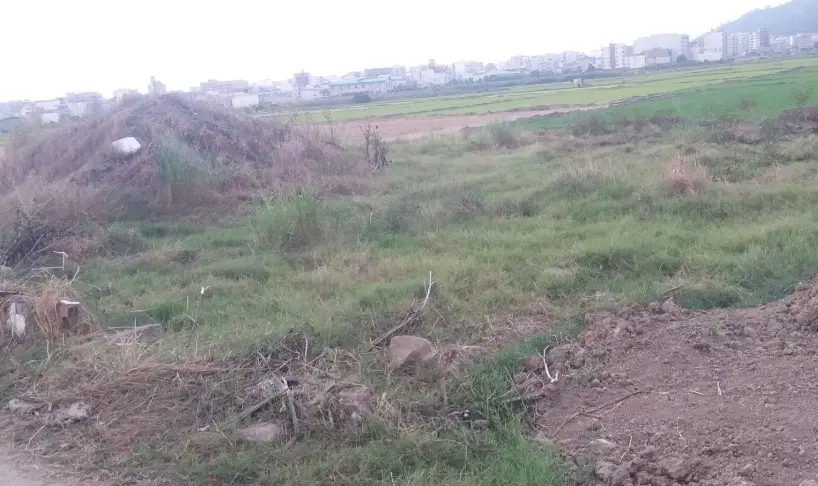 ۱۵۰ متر زمین در ۲۰ متری جنگل
