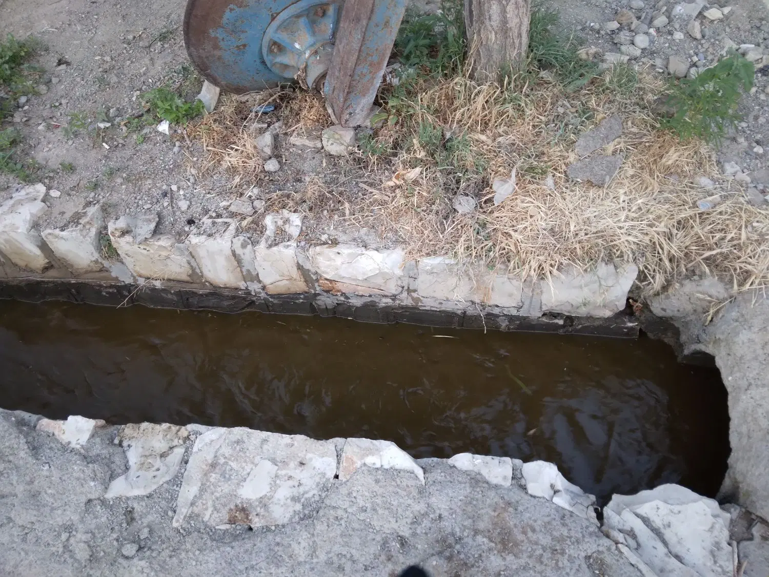 زمین مسکونی