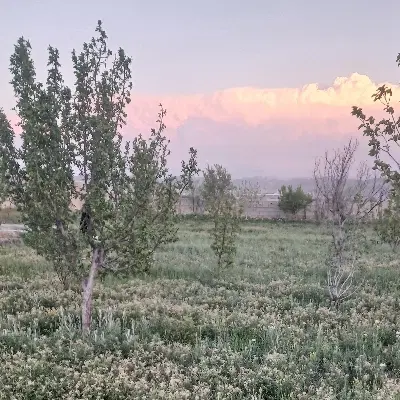 باغ اخولا