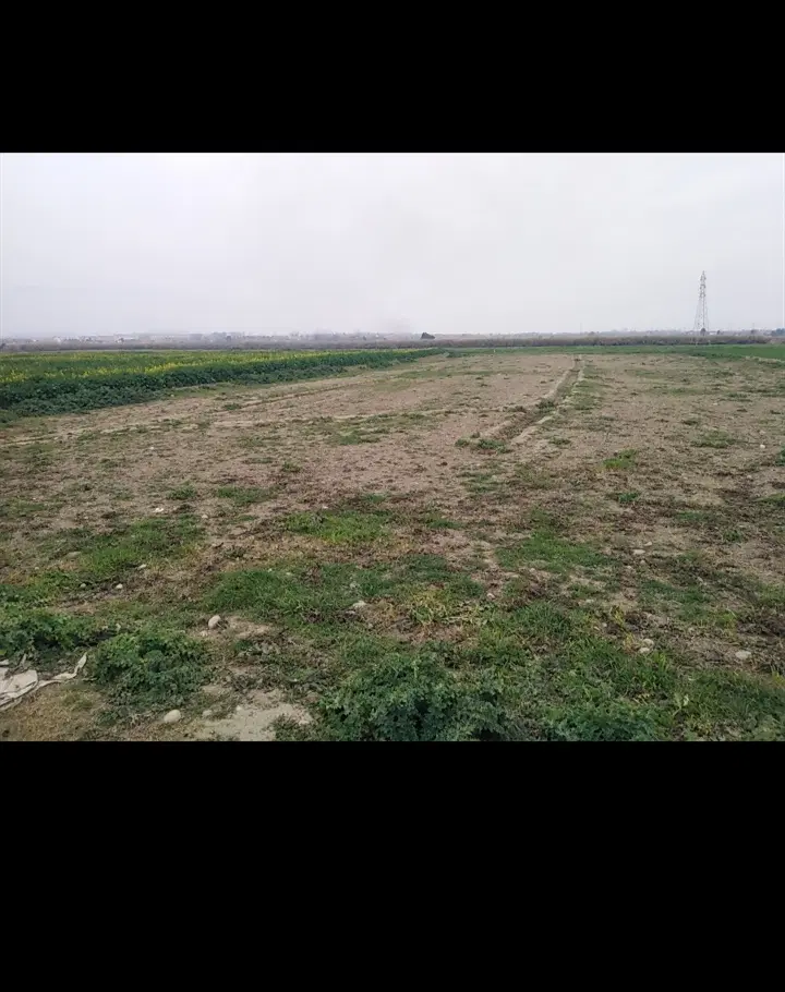 زمین در افسران  انتهای خلیج9