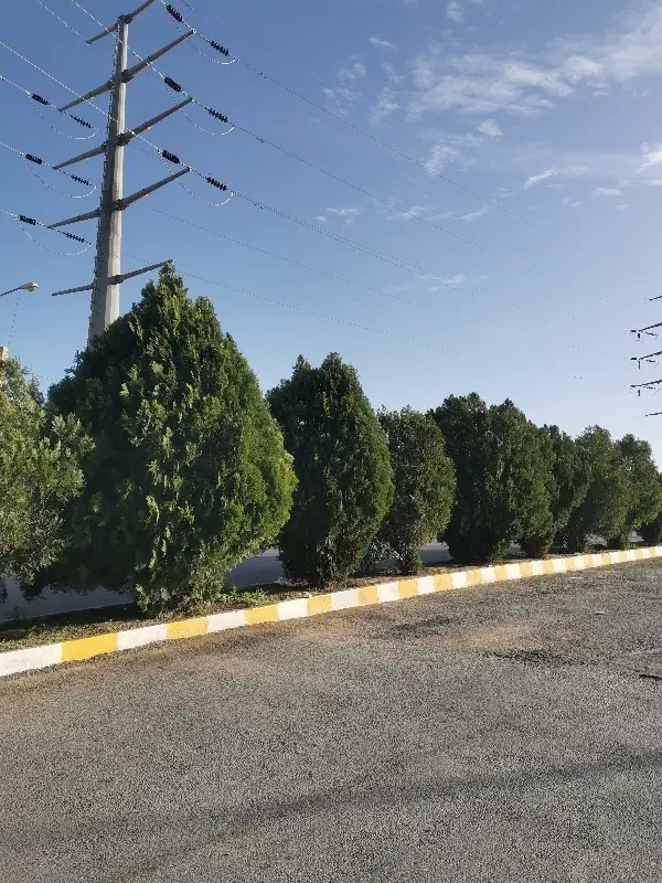 آپارتمان 2خواب. سند دار کم واحد. ملکی مولانا