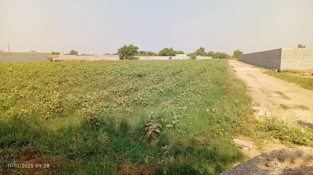 فروش زمین باغ