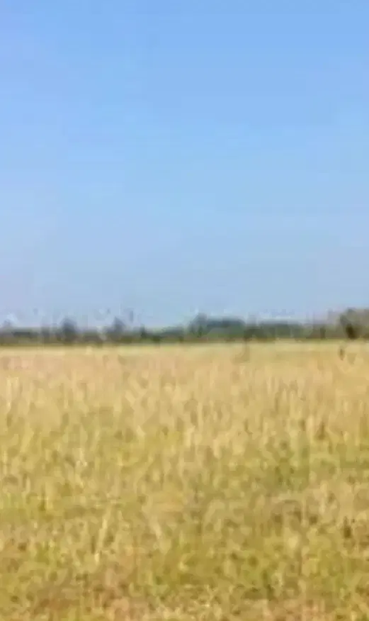 زمین گلخانه