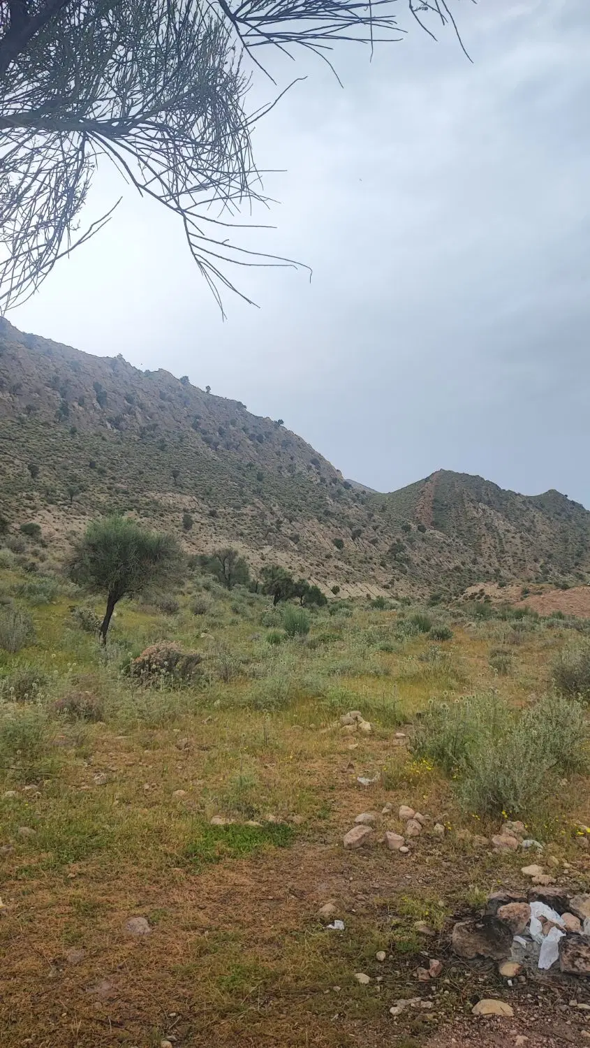 فروش زمین تجاری و مسکونی