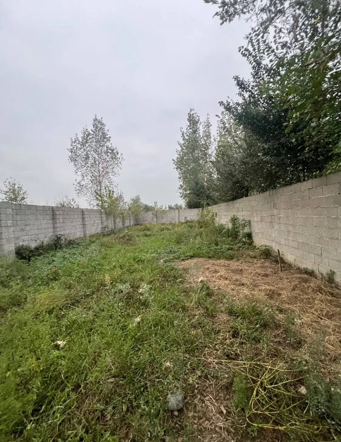 زمین دارای پروانه ساخت