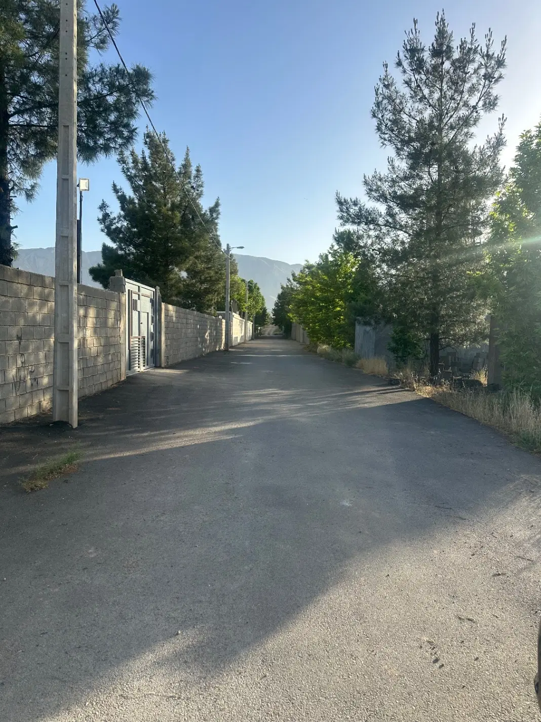 فروش زمین باغی انجیره (خیابان شقایق)