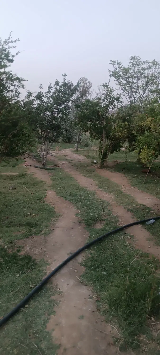 فروش باغ