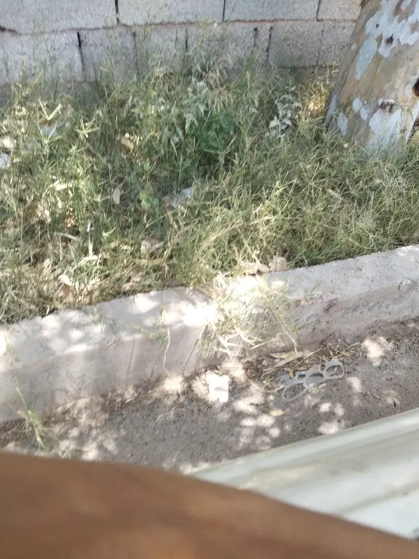 120 متر زمین کامل تجاری