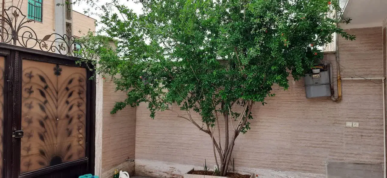 اجاره ی ملک
