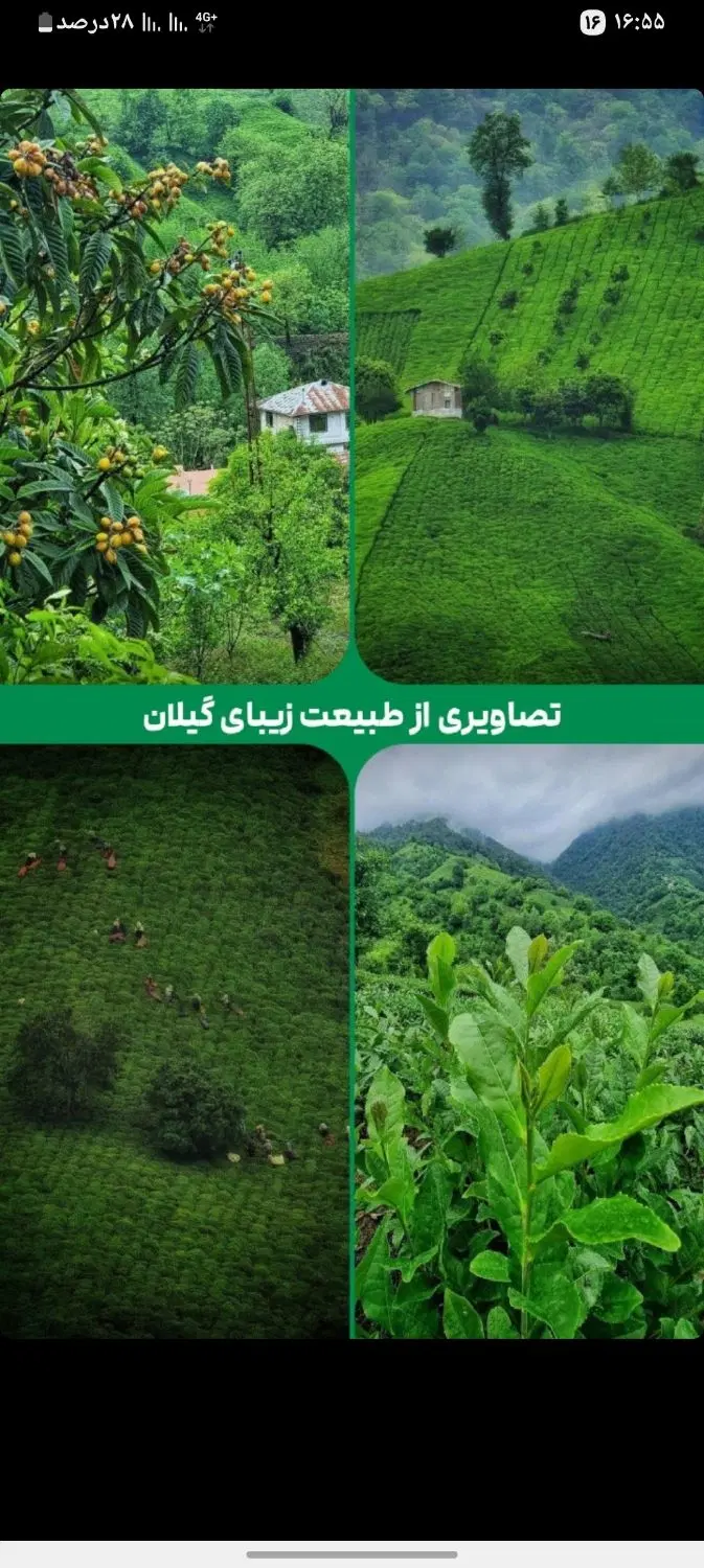 فروش زمین  حاجی اباد