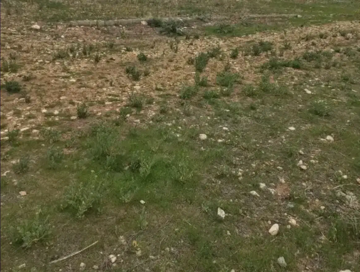 زمین تجاری مسکونی