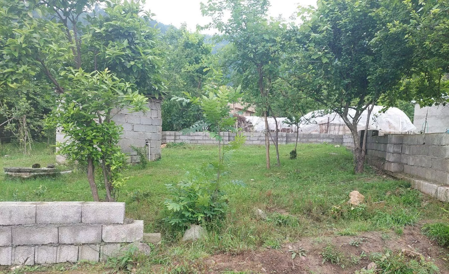 زمین مسکونی ویودار