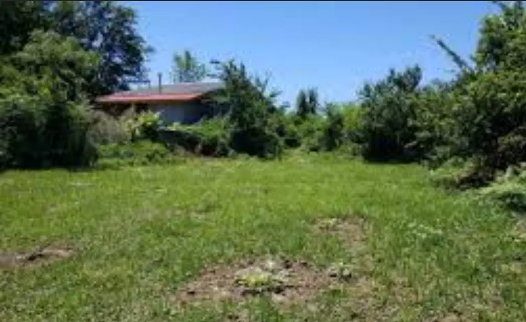 فروش  زمین تجاری مسکونی گرگان  روستای کفشگیری