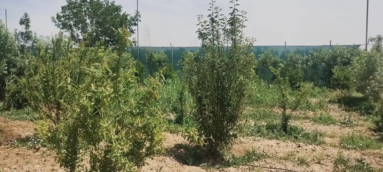 زمین فروشی