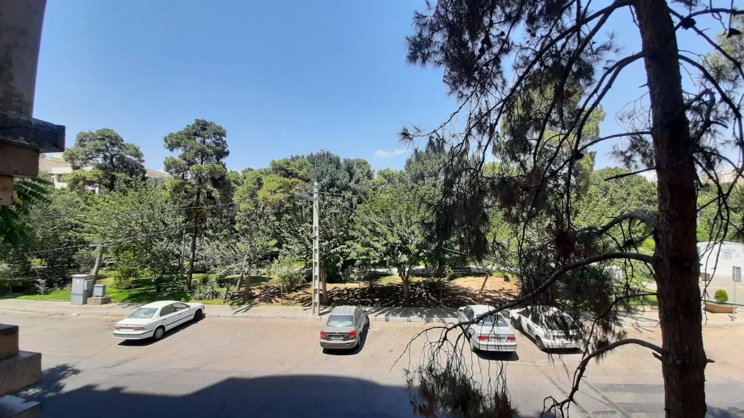 واحد رو به پارک دلباز و پر نور، ساختمان فقط ۳ واحد