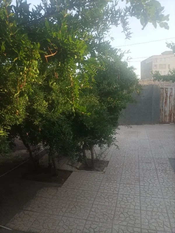 فروش منزل ویلایی گنبدی در مامونیه
